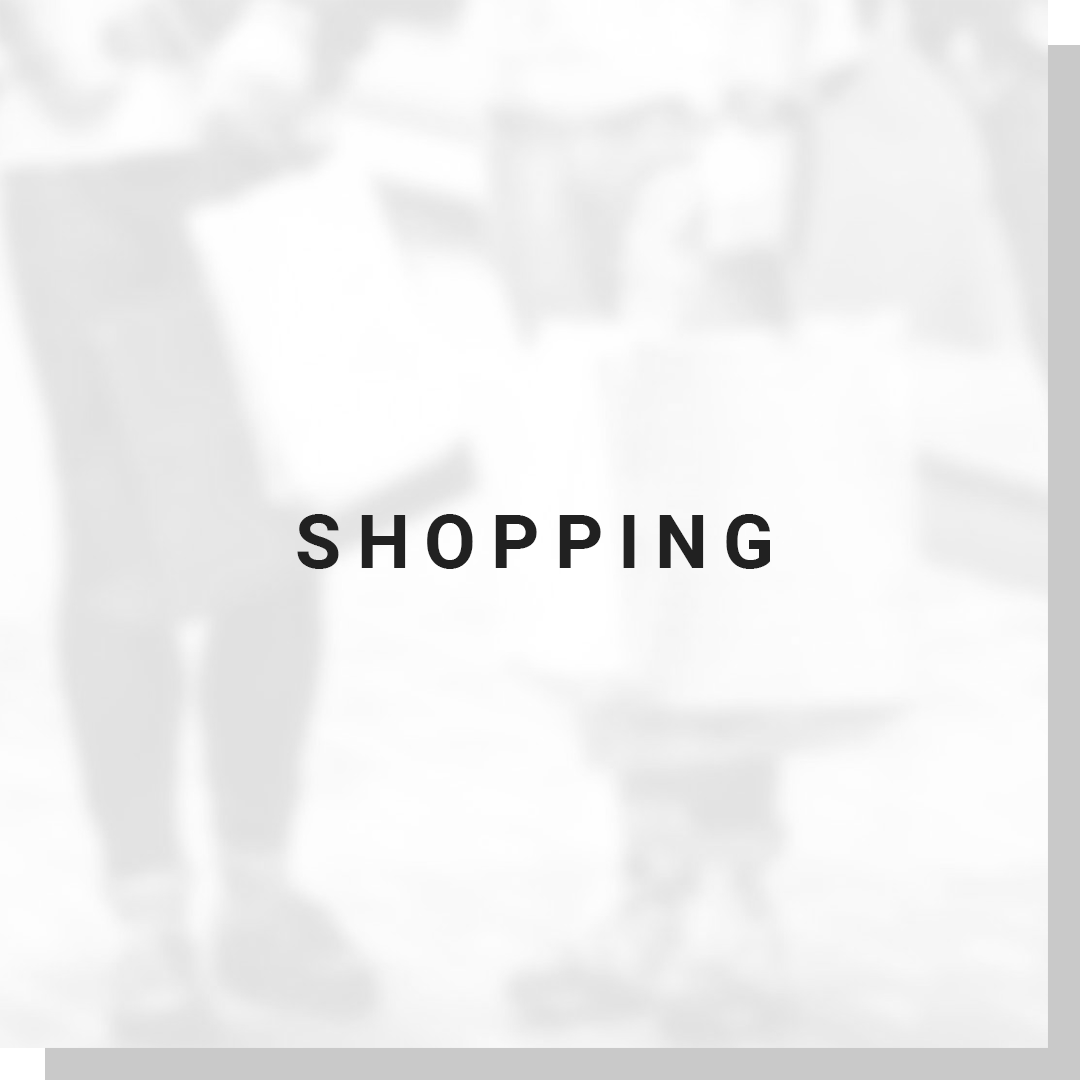 Category-Cards-w-text-white-Shopping